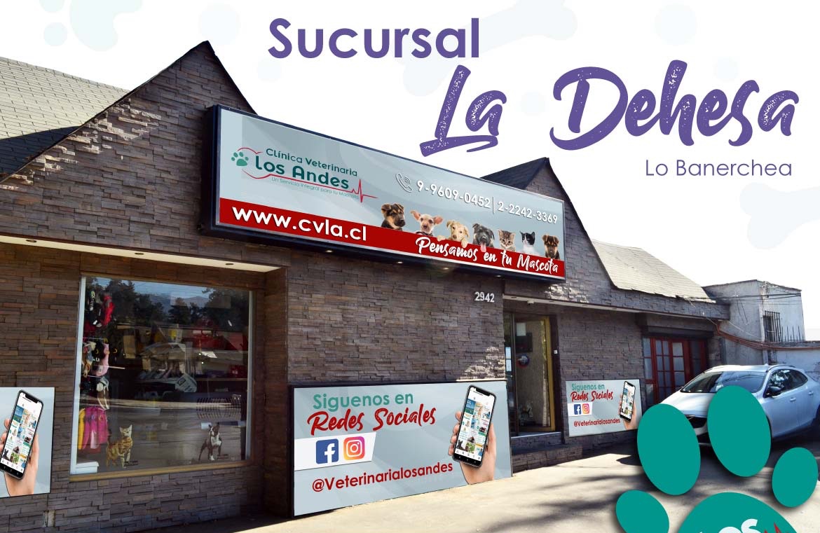 Clínica Veterinaria los Andes sucursal La Dehesa