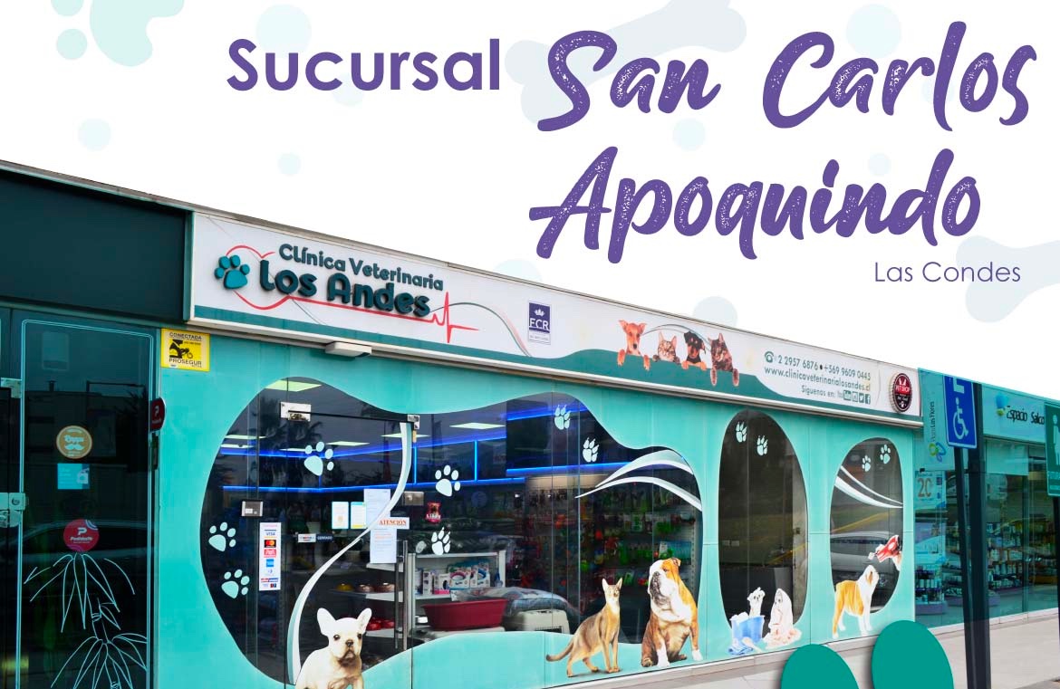 Clínica Veterinaria los Andes sucursal San Carlos de Apoquindo