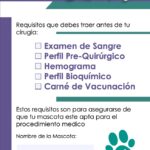 requisitos cirugías mascotas