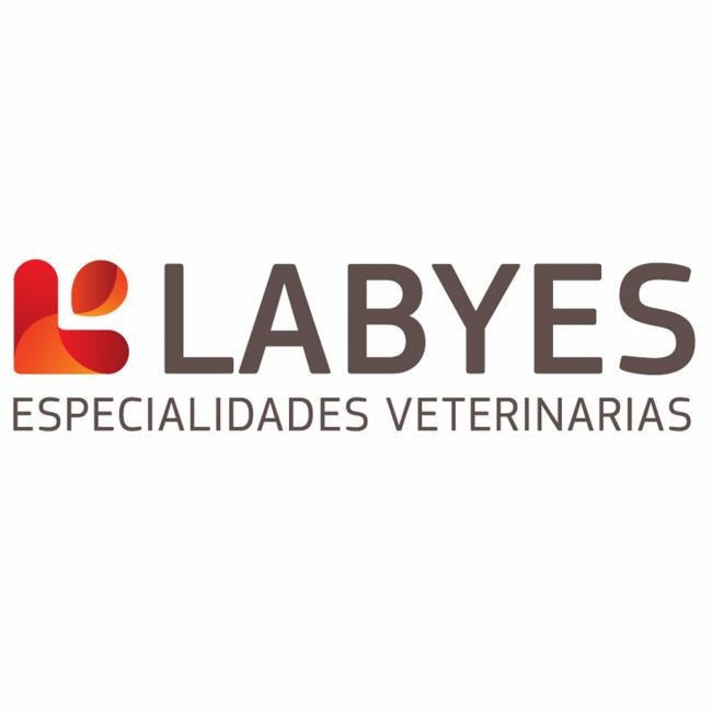 Labyes